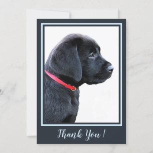 Thank You Black Labrador Puppy - Modern Cute Dog Card