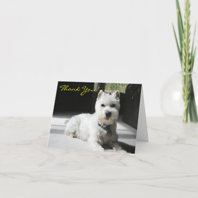 Thank You, Blank, Mini Schnauzer Thank You Card (Front)