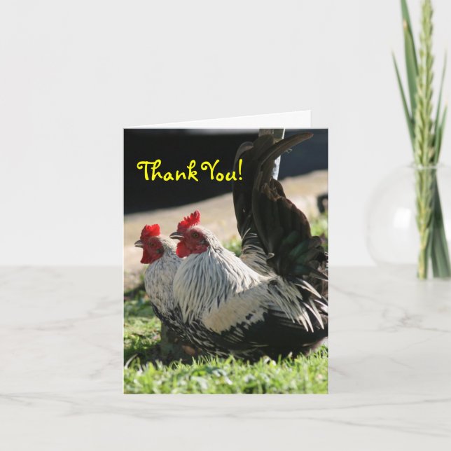 Thank You, Blank, Rooster Thank You Card (Front)