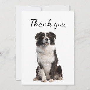 Thank You Border Collie Dog Pet Animal Card