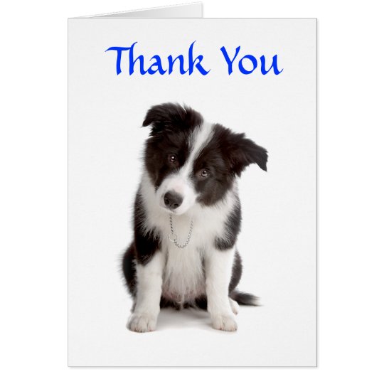Thank You Border Collie Puppy Greeting Card