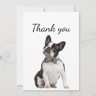 Thank You Boston Terrier Dog Pet Animal