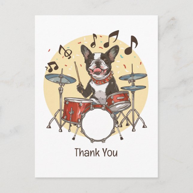 Thank You Boston Terrier Dog Playing Drums Postcard (Front)