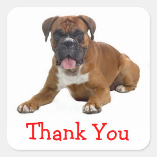 Thank You Boxer Puppy Dog Greeting Sticker