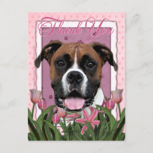 Thank You - Boxer - Vindy Postcard