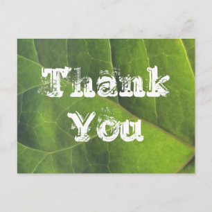 Thank You Bright Green Leaf Nature Appreciation Postcard
