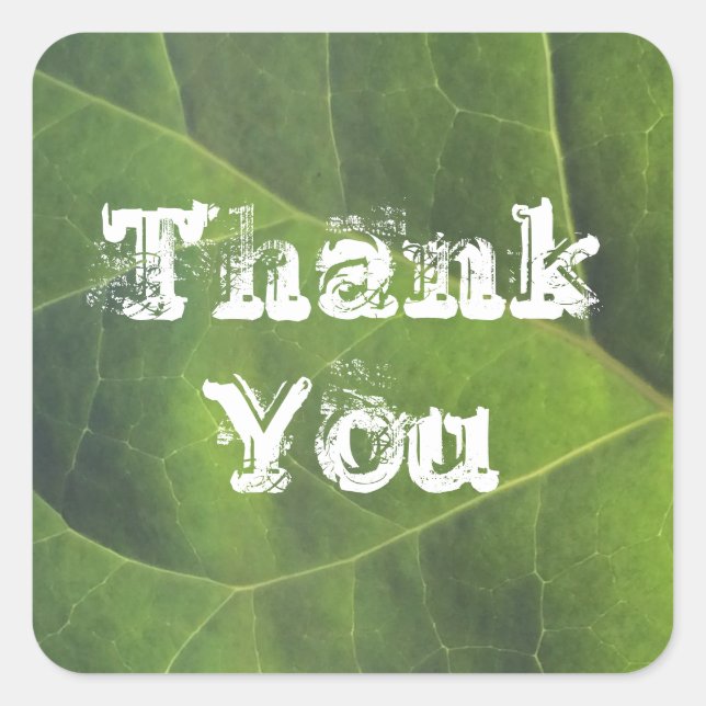 Thank You Bright Green Leaf Photo Appreciation Square Sticker (Front)