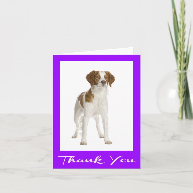 Thank You  Brittany Spaniel Puppy Dog Card (Front)