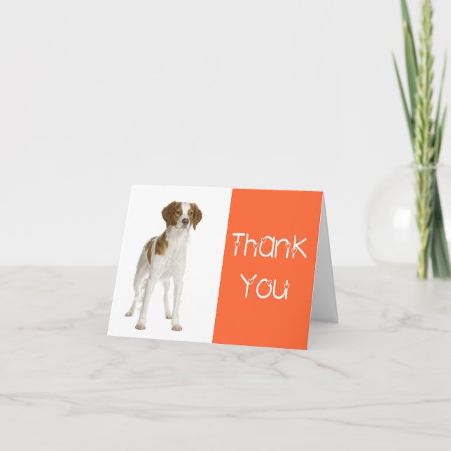 Thank You  Brittany Spaniel Puppy Dog Card (Front)