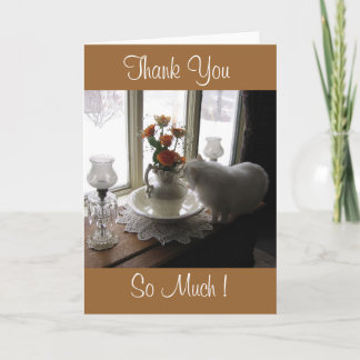 Thank You Bugsy/orange roses Card