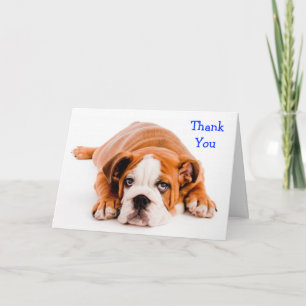 Thank You Bulldog Greeting Card - Kindness Verse