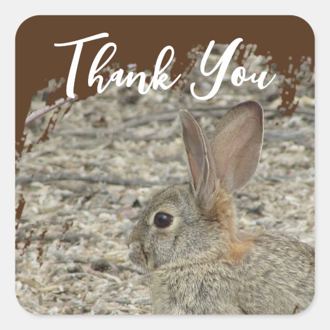 Thank You Bunny Photo Gender Neutral Appreciation Square Sticker (Front)