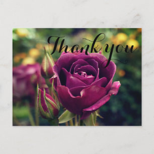 Thank You Burgundy Iceberg Rose #1 Postcard