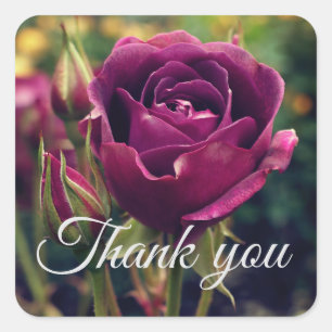 Thank You Burgundy Iceberg Rose #1 Stickers