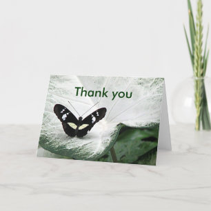 Thank you Butterfly Card