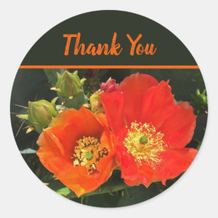 Thank You Cactus Flowers Desert Blooms Floral Classic Round Sticker