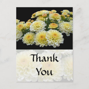 Thank You car - Lemon Meringue Chrysanthemums Postcard