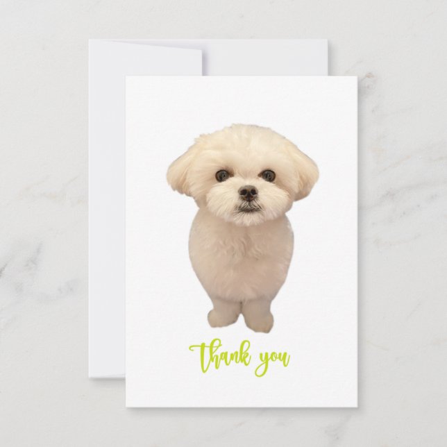 Thank You Card (Front)
