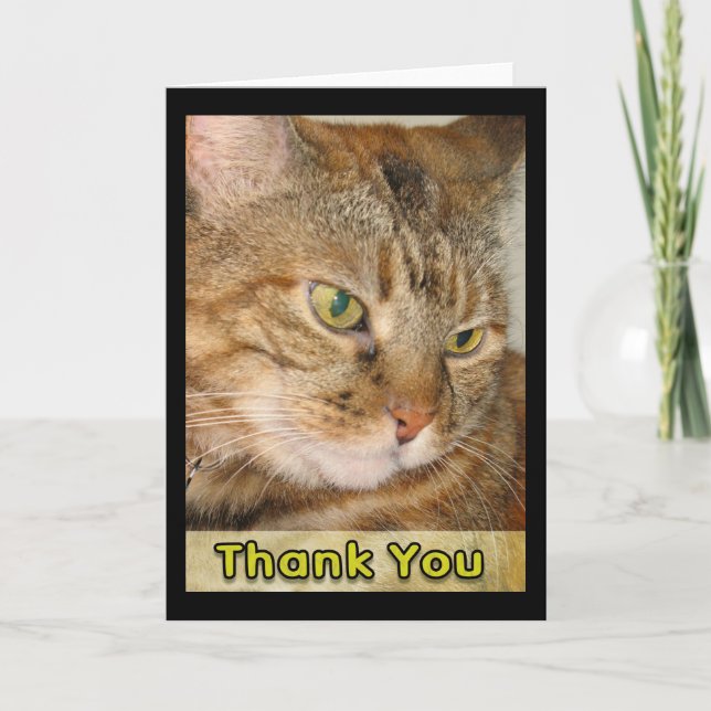 thank you card (Front)