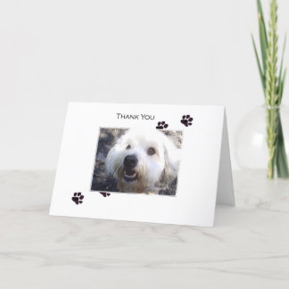 Thank You Card