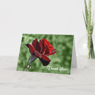 Thank You Card