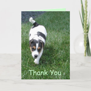 Thank You Card