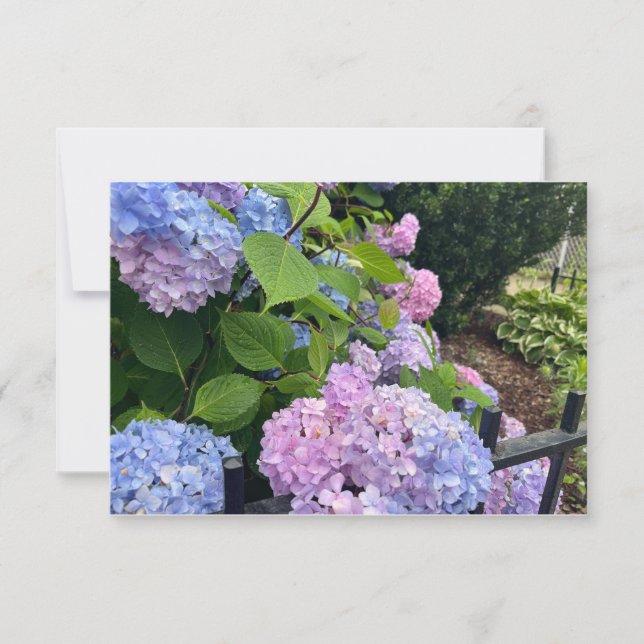 Thank You ..  Card (Front)