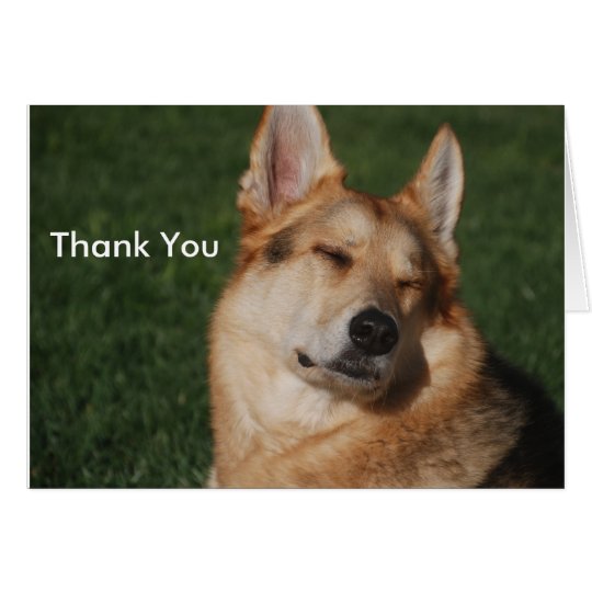Thank You Card
