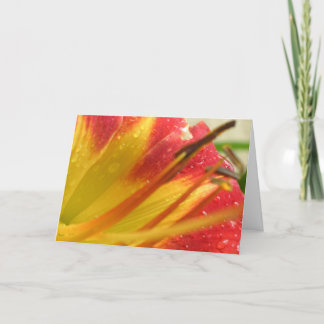 Thank You Card
