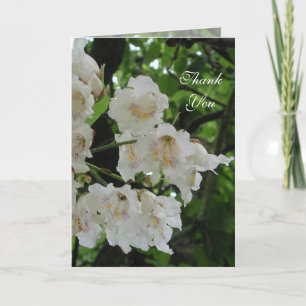 Thank You Card