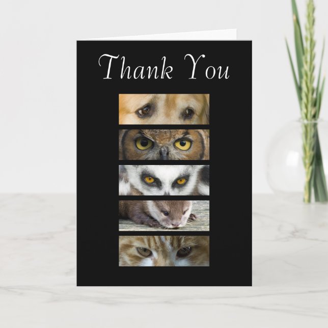 Thank You Card - Animals Eyes (Front)