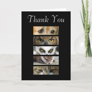 Thank You Card - Animals Eyes
