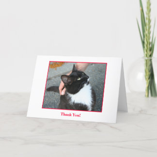Thank You Card, blank inside. Card