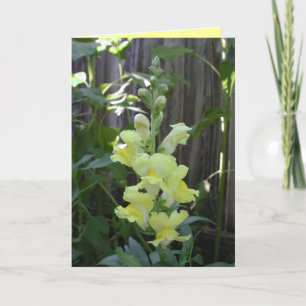 Thank You Card by Janz