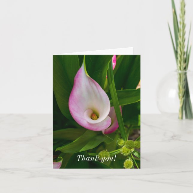 Thank You Card - Calla Roll (Front)