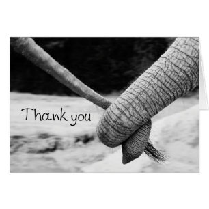 Thank you card - elephant trunk holding tail