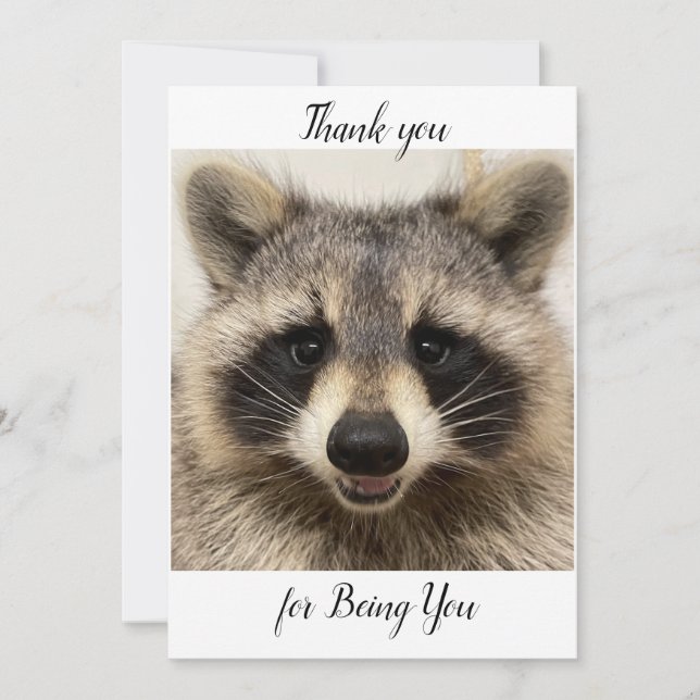 Thank you card featuring "Animal" the Racoon. (Front)