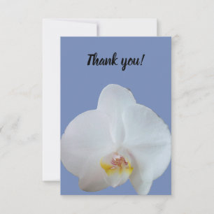 Thank you card featuring photo of a white orchid