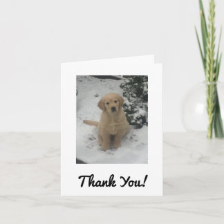 Thank You Card - Festive Golden Retriever.