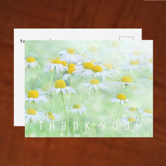 Thank You Card. Field of Daisies. Postcard (Creator Uploaded)