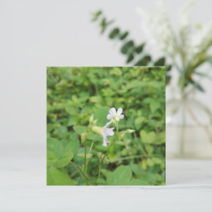 THANK YOU CARD FOR NATURE EVENT PARTICIPATION