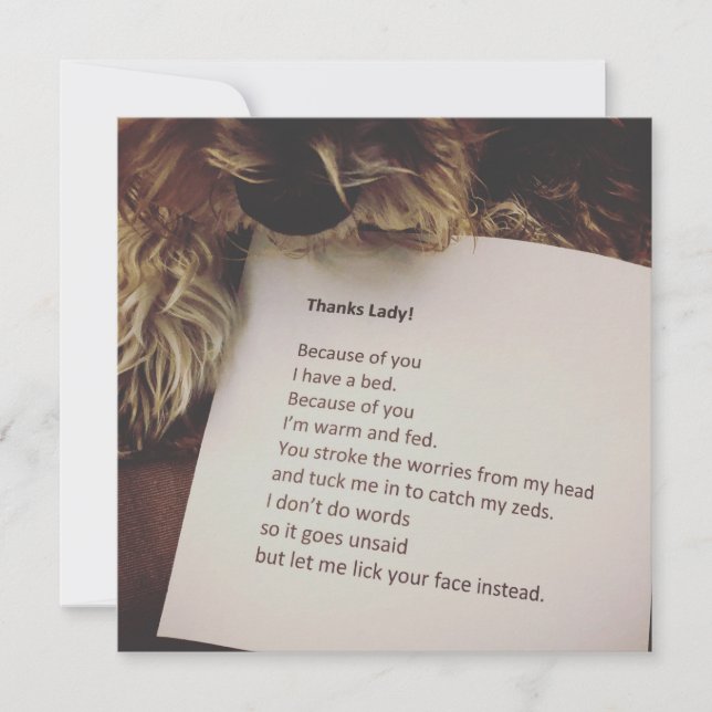 Thank You Card from the Dog (Front)