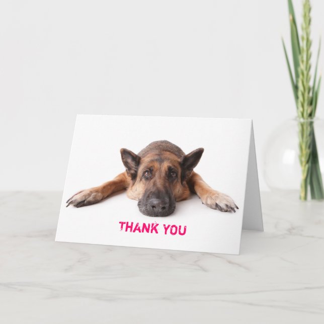 Thank You Card German Shepherd Dog (Front)