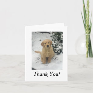 Thank You Card - Golden Retriever