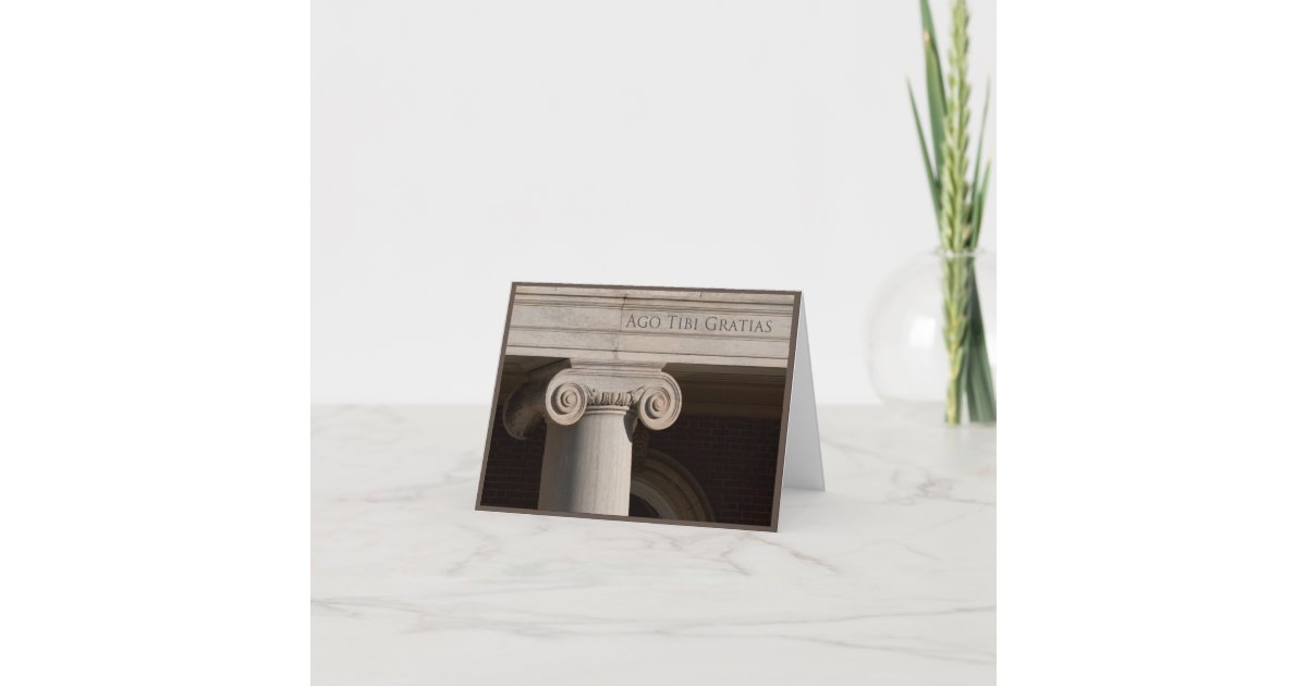 Thank You Card in Latin Zazzle.co.uk