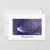Thank You Card, Jellyfish