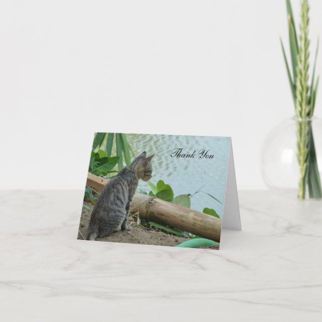 Thank You Card - Little Kitten by the Water (Front)