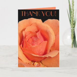 Thank You Card Orange Rose Custom Greeting Card