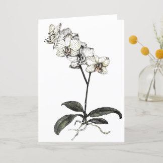 Thank You Card_Pure Moon Orchid
