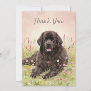 Thank You Card with a Newfoundland Dog